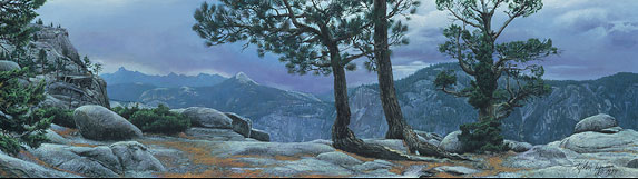 Stephen Lyman Yosemite Landscape